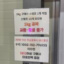 썬샤인하우스 | 남양주시 창고형 구제샵 빈티지 선샤인 웨어하우스 후기