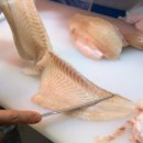 믿음수산 이미지