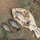 월광디테일 이미지