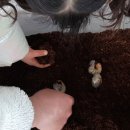 새아리농장 이미지