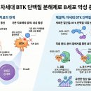 2026 블록버스터 11대 신약에 지정된 : BGB-16673 이미지