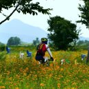 밀양아리랑오토캠핑장 이미지