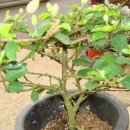 대주농장 이미지