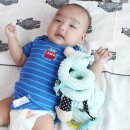 인형의 거리(뱀) 이미지