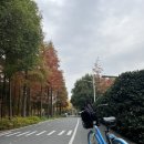 옥봉동 뒤벼리 강변 자전거도로 내(동방호텔) | 상해 황푸강변따라 자전거투어, 북와이탄, 북번드