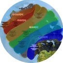 대양낚시 - 경주시 동해안로 2036 | 대양낚시