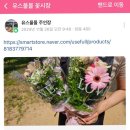 비비안나몰