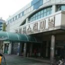 선인리무진 이미지