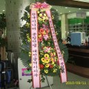 제3회 한국시니어볼링연맹 전국챔피온 볼링대회 선전을 축하합니다... 이미지