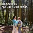 함께나눔길 | 제주 동쪽코스 삼나무숲 테크길 걷기 사려니숲 무장애나눔길