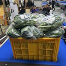 정선당구장 이미지