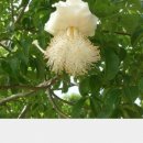 카페몽몽 이미지