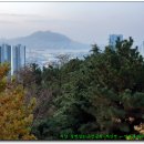 증산-006 Daum카페