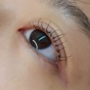 태후사랑(명촌점) | 울산 명촌 속눈썹펌 잘하는곳 수분클리닉펌 후기 쪼꼬미뷰티