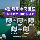 해맞이 농장 | 6월 제주 수국 여행 명소 TOP 5, 인생샷 코스와 주차 꿀팁 완벽 정리!