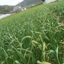 새동네농장 이미지