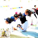 포항영흥초등학교 이미지