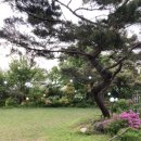 물맑은집 이미지