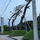 선비촌순흥청국장 이미지