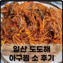 도도해 | 일산 도도해 푸짐한 아구찜 소자 내돈내산후기