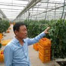 제이앤팜 이미지