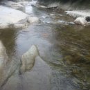 노림초등학교 이미지