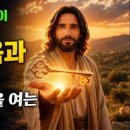 (주)강가의나무