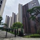 강남-016 이미지