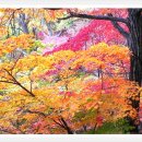 은해사 중암암 삼층석탑 이미지