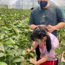 봄이네농장 이미지