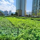 내서읍438 이미지