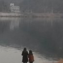 왈츠와닥터만 이미지