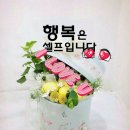 지혜공인중개사사무소 이미지