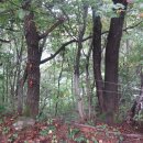 평전농장 이미지