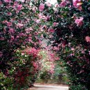 중대물빛공원 이미지