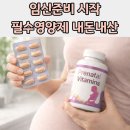 남성연합노동조합 | 임신준비 필수영양제 내돈내산 후기