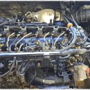 오토라인 이미지