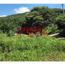 수자원농장 이미지