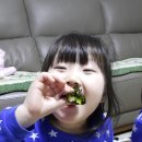 다은이김밥