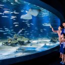 아쿠아PC방 이미지