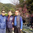 아카미 Daum카페