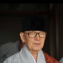 암두래암두타(暗頭來暗頭打)어둔 놈이 오면 어둔 놈도 치고 / 송담 큰 스님 이미지
