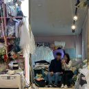 드레스젠 | 셀프웨딩&본식 드레스 대여 ‘드레스젠’ 내돈내산 솔직 후기 (견적, 피팅 꿀팁 등 정보공유)