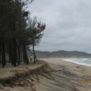 관동농장 이미지