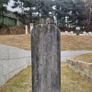 성임 묘 및 신도비 | 『이가서법(二家書法)』의 대사헌 김희수(金希壽) 묘-안동김씨-