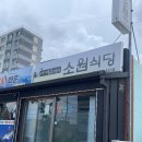 제주 삼양맛집 소원식당 낙지볶음맛집