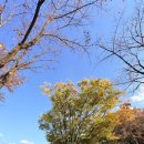 만남의Self주유소 이미지