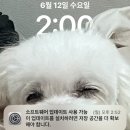 랄라독 이미지