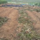 장속농장 이미지