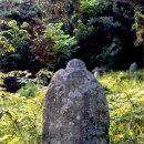 의령 수도사 석탑 및 승탑군 이미지